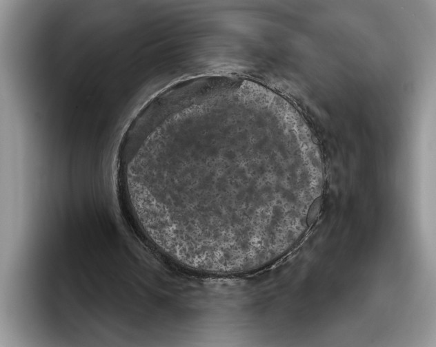 X0000093400242200711091346