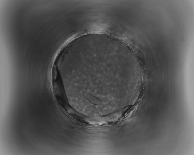 X0000093400244200711091346