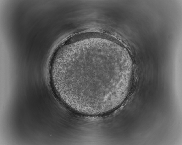 X0000093400245200711091346