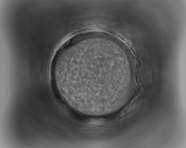 X0000093400248200711091346