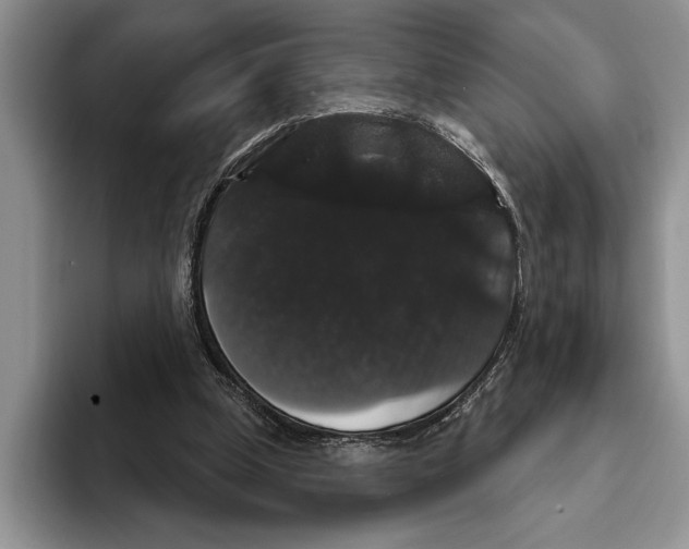 X0000093400249200711091346