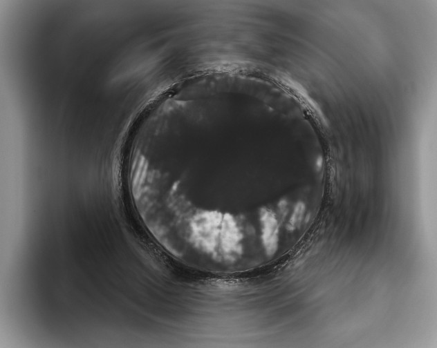 X0000093400250200711091346