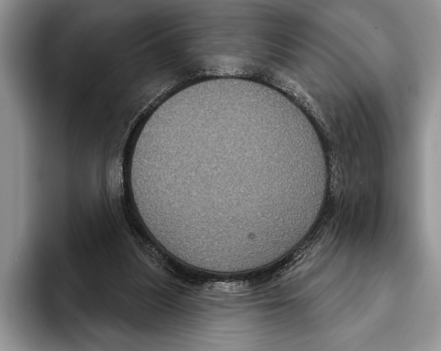 X0000093400251200711091346