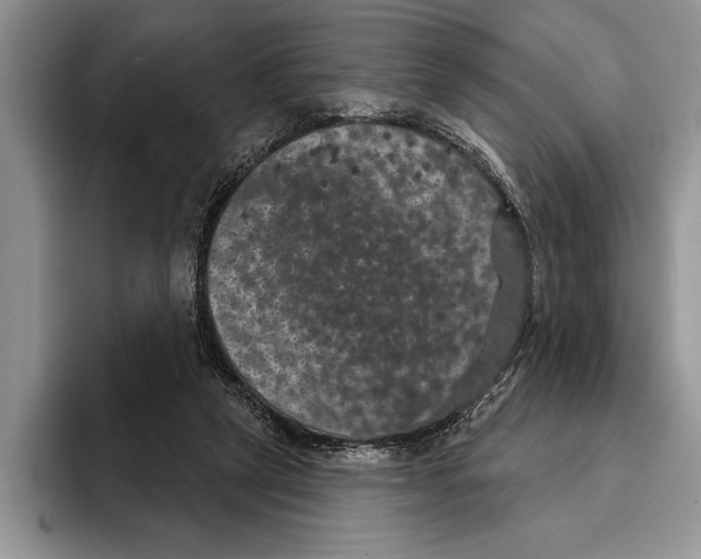 X0000093400257200711091346