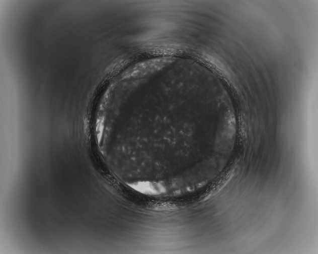 X0000093400258200711091346