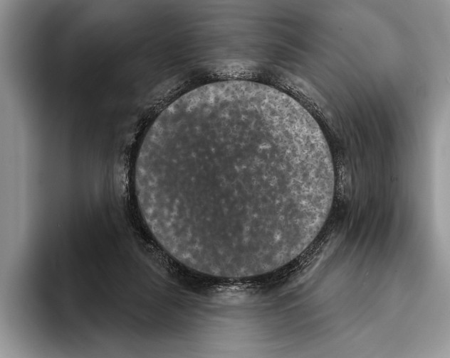 X0000093400259200711091346