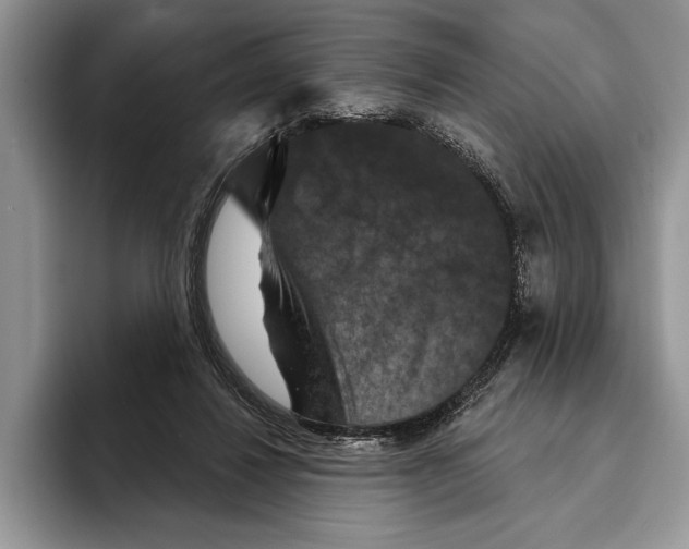 X0000093400260200711091346