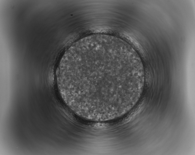 X0000093400261200711091346