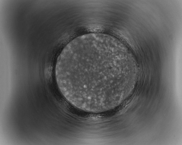 X0000093400263200711091346