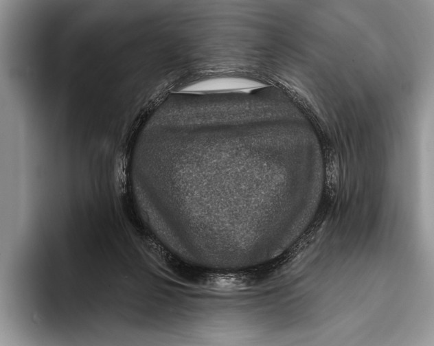 X0000093400264200711091346