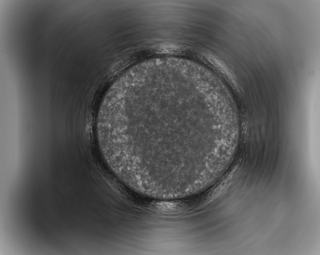 X0000093400265200711091346