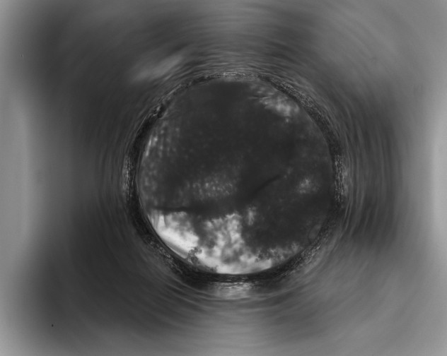 X0000093400266200711091346