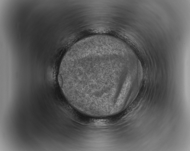 X0000093400268200711091346