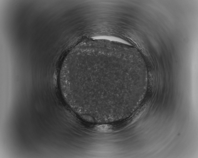 X0000093400269200711091346