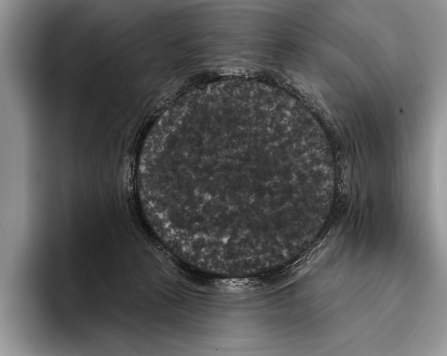 X0000093400273200711091346