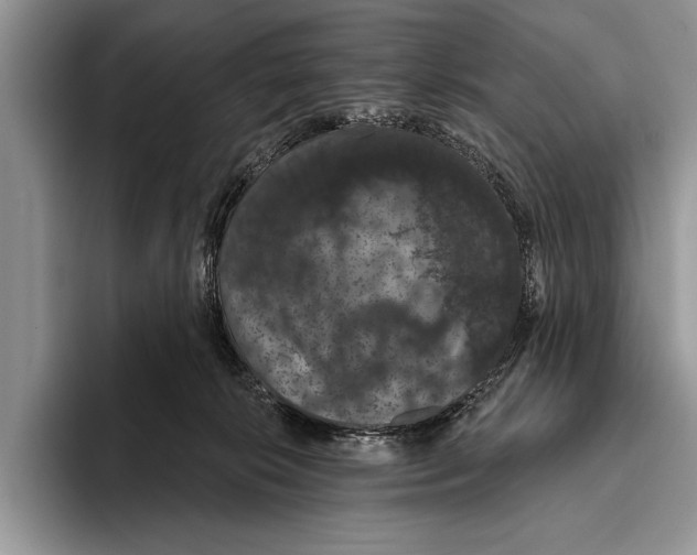 X0000093400276200711091346