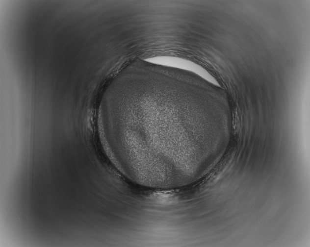 X0000093400280200711091346