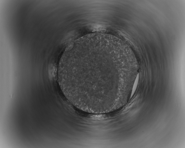 X0000093400281200711091346