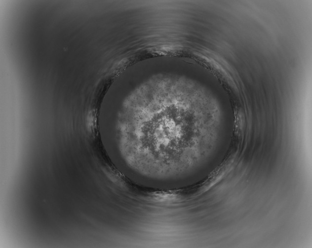 X0000093400284200711091346