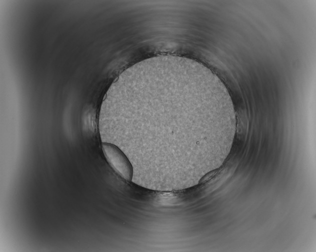 X0000093400287200711091346