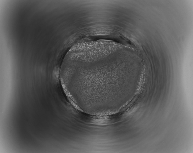 X0000093400288200711091346