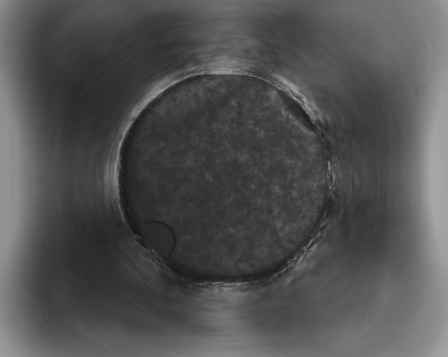 X0000093400292200711091346