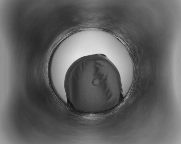 X0000093400293200711091346