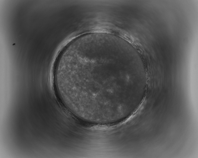 X0000093400294200711091346