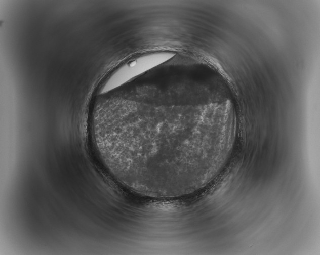 X0000093400299200711091346