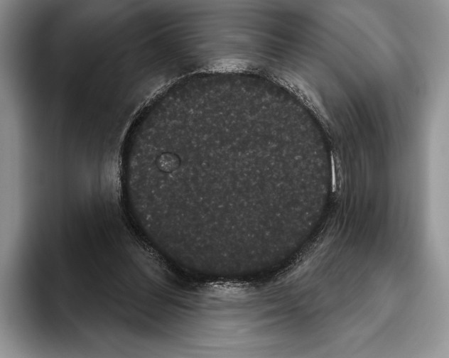 X0000093400300200711091346