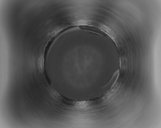 X0000093400301200711091346