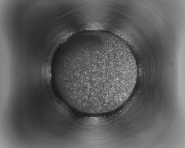 X0000093400302200711091346