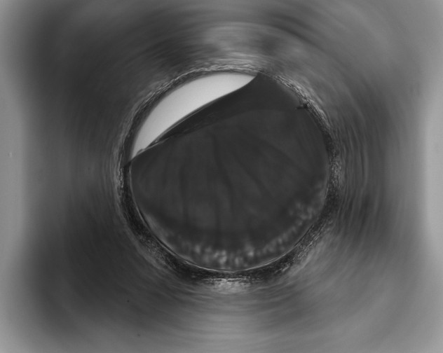 X0000093400303200711091346