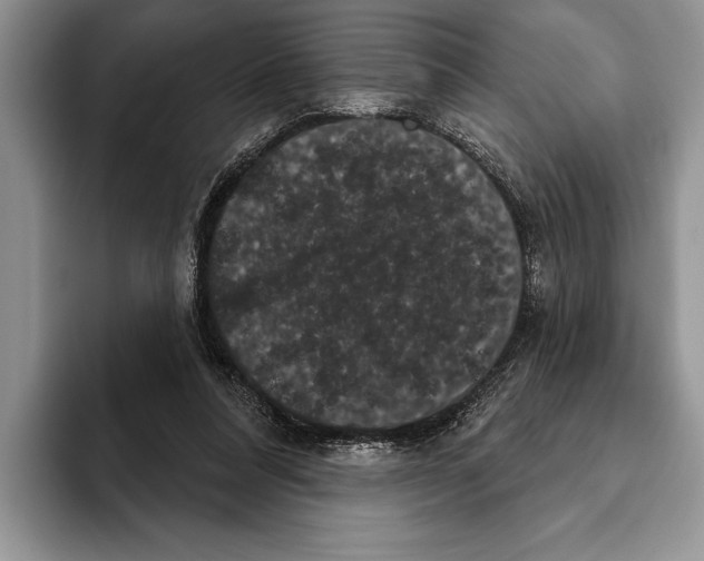 X0000093400304200711091346