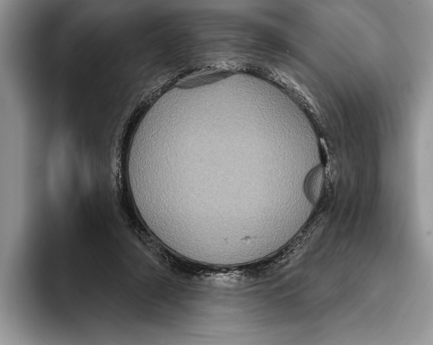 X0000093400306200711091346