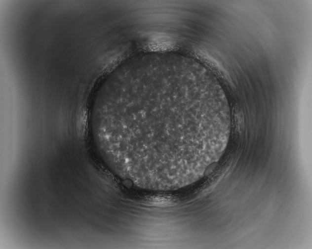 X0000093400308200711091346