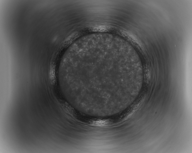 X0000093400312200711091346