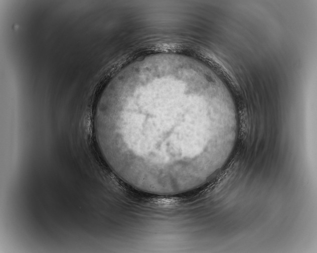 X0000093400313200711091346