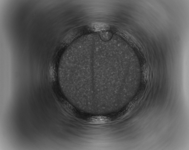 X0000093400316200711091346