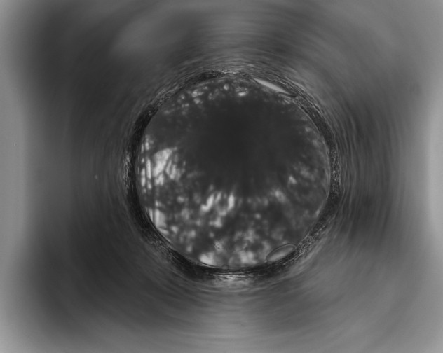 X0000093400319200711091345