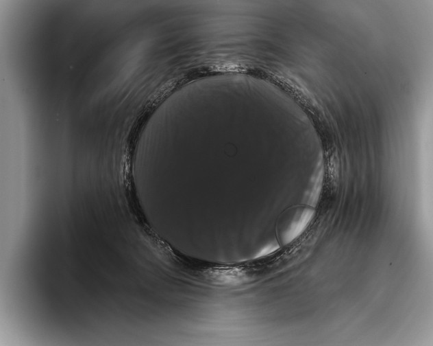 X0000093400322200711091345