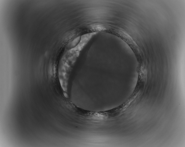 X0000093400330200711091345