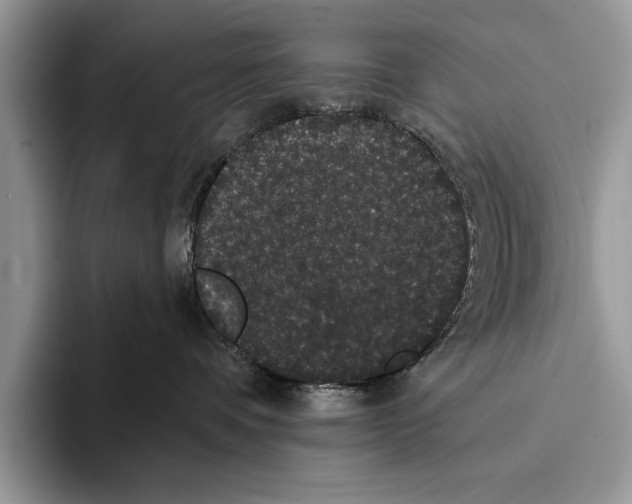 X0000093400336200711091345