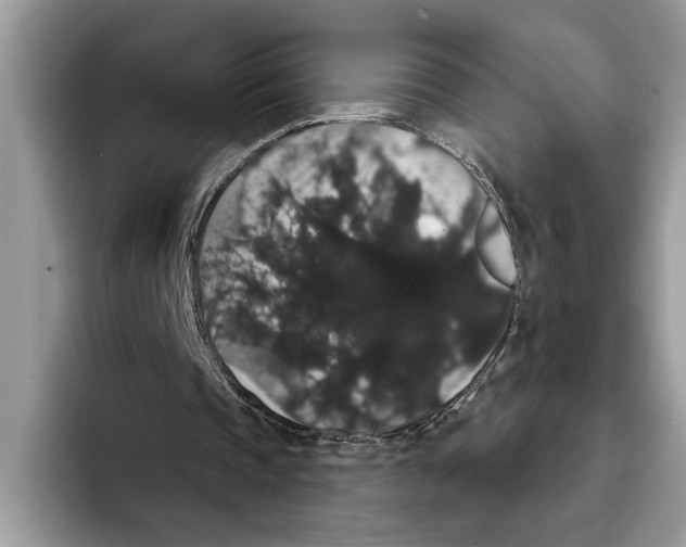 X0000093400337200711091345