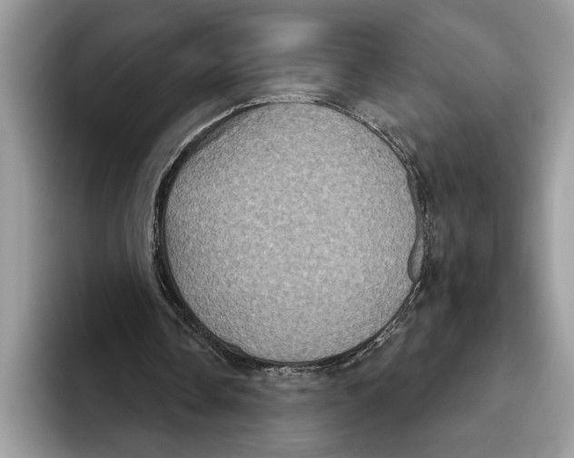 X0000093400338200711091345