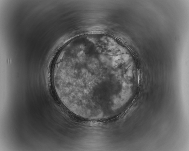 X0000093400339200711091345