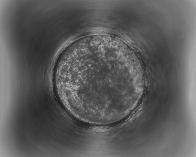 X0000093400341200711091345