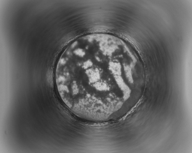 X0000093400345200711091345