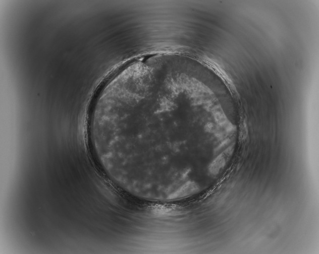 X0000093400346200711091345