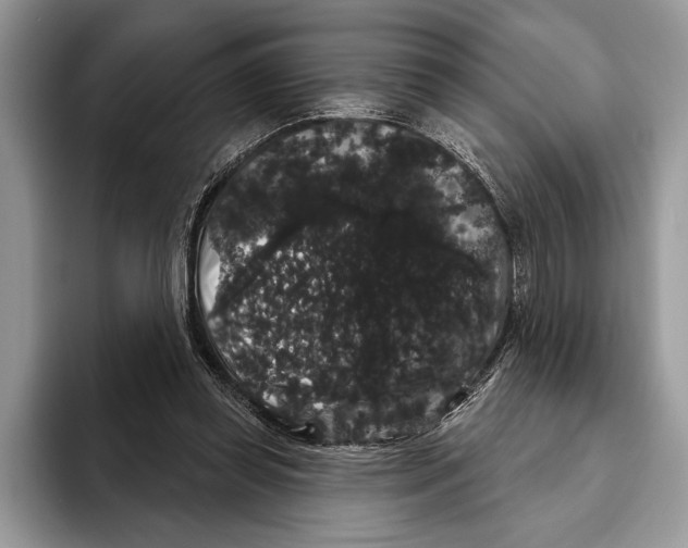 X0000093400349200711091345